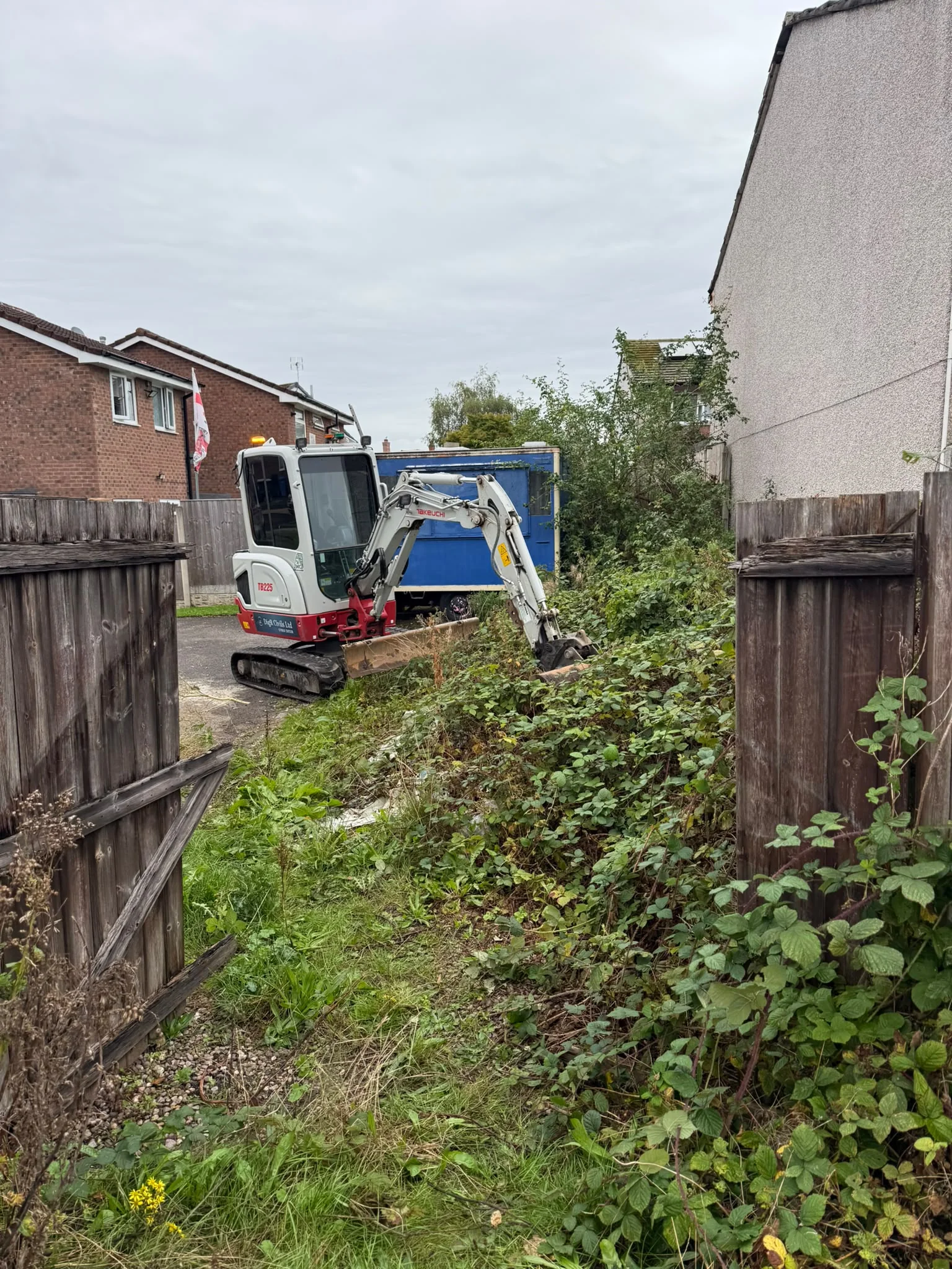 Overgrown residential garden before excavation